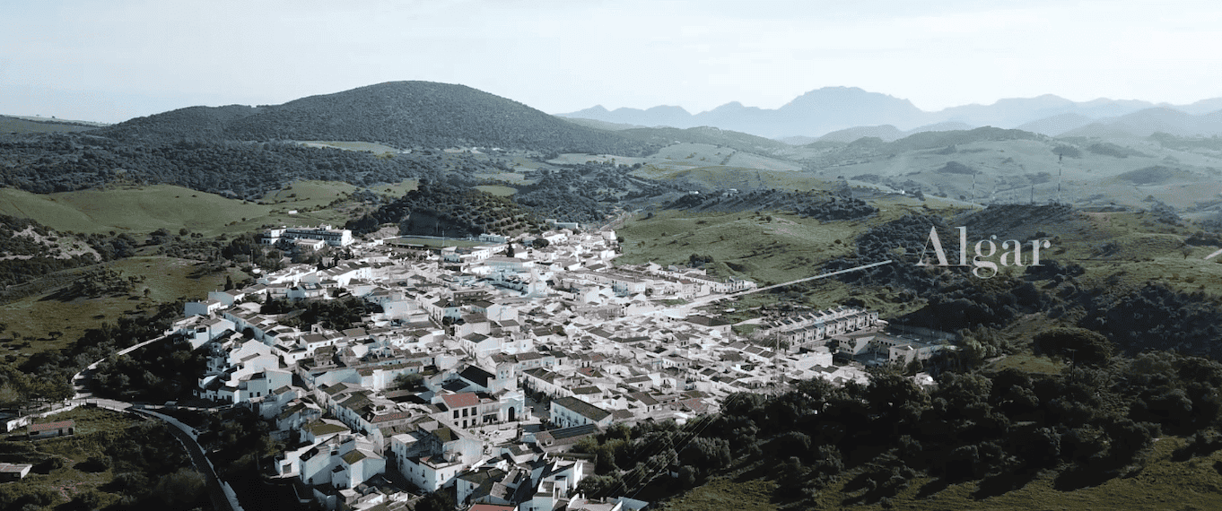 Municipio de Algar